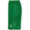 PEAK Iowa wendbare Basketballshorts 20374 - gr&uuml;n/weiss M