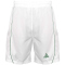 PEAK Team Basketballtrikot-Set Herren 20165 - weiss/dunkelgrün XS