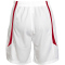 PEAK Team Basketballtrikot-Set Herren 20095 - weiss/burgund XS