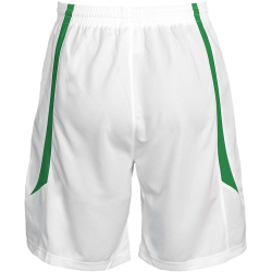 PEAK Team Basketballtrikot-Set Herren 20087 - weiss/gr&uuml;n XS