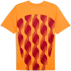 PUMA Galatasaray Istanbul Aufwärmshirt 2024/25 Herren