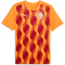 PUMA Galatasaray Istanbul Aufwärmshirt 2024/25 Herren