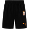 PUMA Galatasaray Istanbul Trainingsshorts Herren