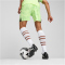 PUMA FC St. Pauli Torwartshorts 2024/25 Herren