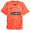 PUMA FC St. Pauli Torwarttrikot 2024/25 Herren