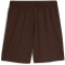 PUMA FC St. Pauli Trainingsshorts Herren