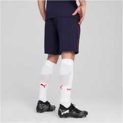 PUMA FC Red Bull Salzburg Casuals Sweatshorts Herren