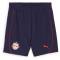 PUMA FC Red Bull Salzburg Casuals Sweatshorts Herren