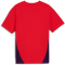 PUMA FC Red Bull Salzburg Trainingsshirt Kinder