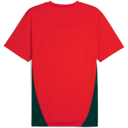 PUMA FC Red Bull Salzburg Trainingsshirt Herren