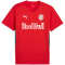 PUMA FC Red Bull Salzburg Trainingsshirt Herren