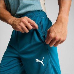 PUMA Olympique Marseille Trainingsshorts Herren