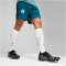 PUMA Olympique Marseille Trainingsshorts Herren