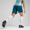 PUMA Olympique Marseille Trainingsshorts Herren