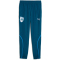 PUMA Olympique Marseille Woven Aufwärmhose Herren