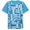 PUMA Olympique Marseille Aufwärmtrikot 2024/25 Herren