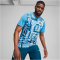 PUMA Olympique Marseille Aufwärmtrikot 2024/25 Herren