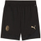 PUMA AC Mailand Trainingsshorts Herren