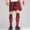 PUMA RB Leipzig Trainingsshorts Herren