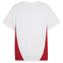 PUMA RB Leipzig Trainingsshirt Herren
