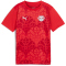PUMA RB Leipzig Aufwärmtrikot 2024/25 Kinder