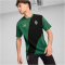 PUMA Borussia Mönchengladbach Culture+ T-Shirt Herren