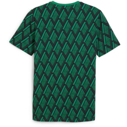 PUMA Borussia Mönchengladbach ftblCulture Print T-Shirt Herren