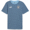 PUMA Manchester City FC ftblCulture Print T-Shirt Herren