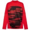 PUMA AC Mailand 1/4-Zip Aufwärm-Top Herren