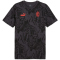 PUMA AC Mailand ftblCulture Print T-Shirt Herren