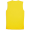 PUMA BVB Borussia Dortmund Pro ärmelloses Trainingsshirt Herren