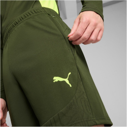 PUMA BVB Borussia Dortmund Trainingsshorts Herren
