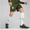 PUMA BVB Borussia Dortmund Trainingsshorts Herren