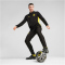 PUMA BVB Borussia Dortmund 1/4-Zip Trainings-Top Herren