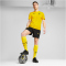 PUMA BVB Borussia Dortmund Trainingsshirt Herren