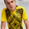 PUMA BVB Borussia Dortmund Aufw&auml;rmshirt 2024/25 Herren