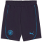 PUMA Manchester City FC Casuals Sweatshorts Herren