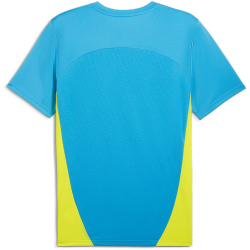 PUMA Manchester City FC Trainingsshirt Herren
