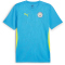 PUMA Manchester City FC Trainingsshirt Herren