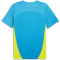 PUMA Manchester City FC Trainingsshirt Herren
