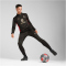 PUMA AC Mailand 1/4-Zip Trainings-Top Herren