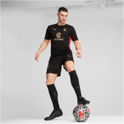 PUMA AC Mailand Trainingsshirt Herren