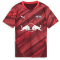 PUMA RB Leipzig Auswärtstrikot 2024/25 Kinder