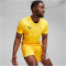 PUMA Torwarttrikot Herren