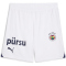 PUMA Fenerbahçe Istanbul Shorts 2024/25 Herren