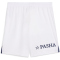 PUMA Fenerbahçe Istanbul Shorts 2024/25 Herren