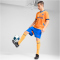 PUMA Olympique Marseille Ausweichtrikot 2024/25 Herren