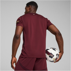 PUMA Manchester City FC Ausweichtrikot 2024/25 Herren