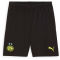 PUMA PSV Eindhoven Shorts 2024/25 Herren