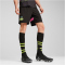 PUMA PSV Eindhoven Shorts 2024/25 Herren